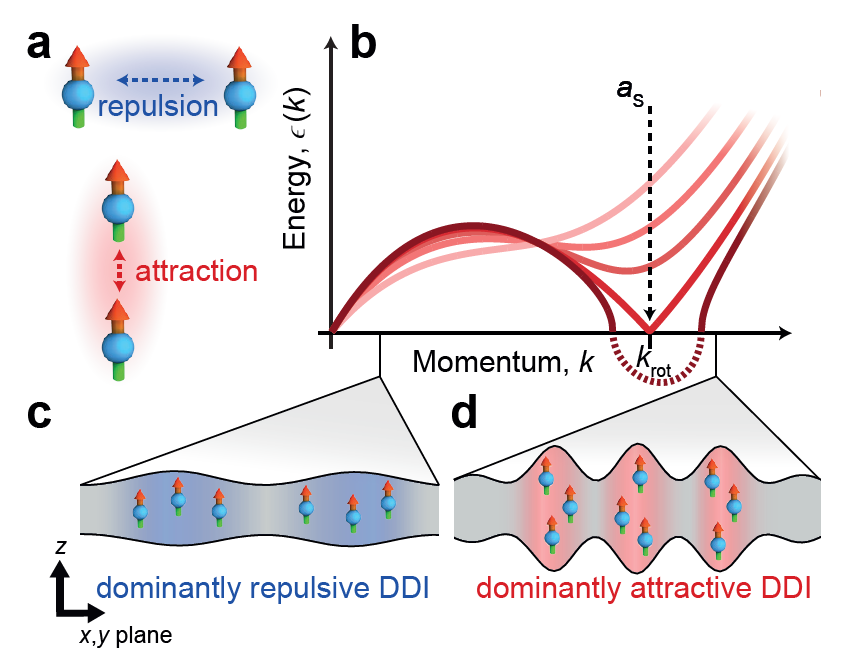 Observation of roton mode population in a dipolar quantum gas